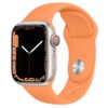 Hoco iWatch WA01 Flexible series classic sports silicone strap(42/44/45/49mm) calendula