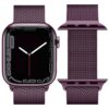 6931474786524 Hoco iWatch WA03 Simple beauty series milanese steel strap(38/40/41mm) blackcurrant