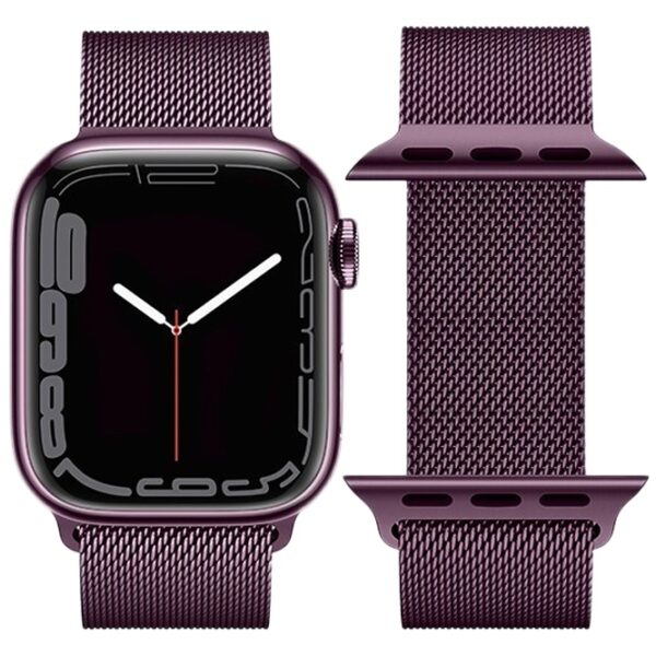 6931474786524 Hoco iWatch WA03 Simple beauty series milanese steel strap(38/40/41mm) blackcurrant