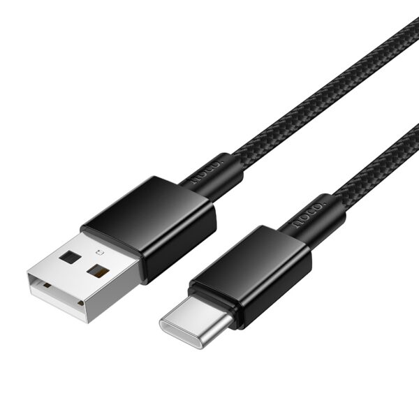 Hoco X119 Energy charging data cable Type-C(packaged) black