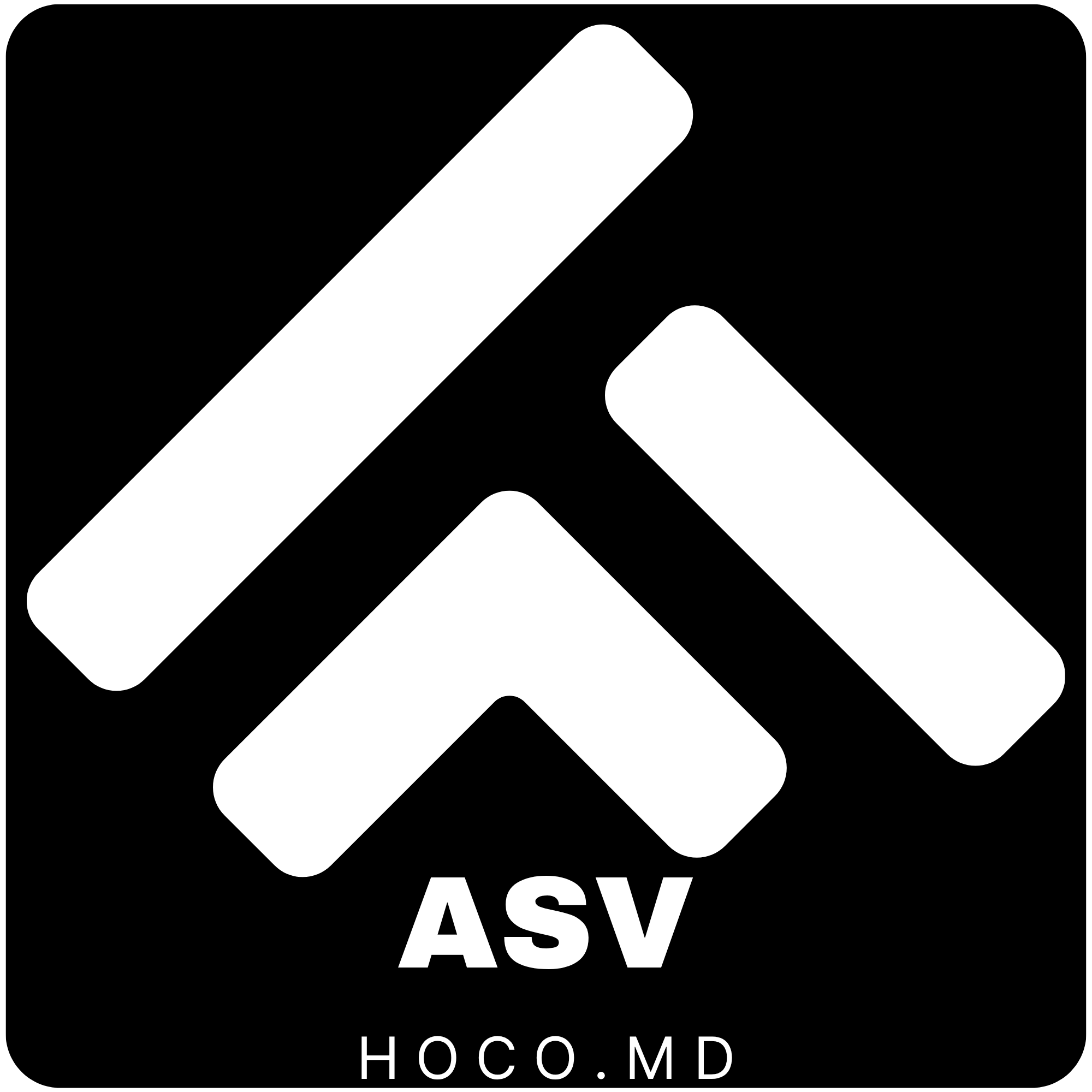 ASV ANGRO