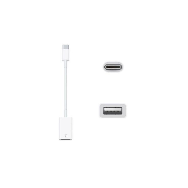 Apple USB-C to USB Adapter